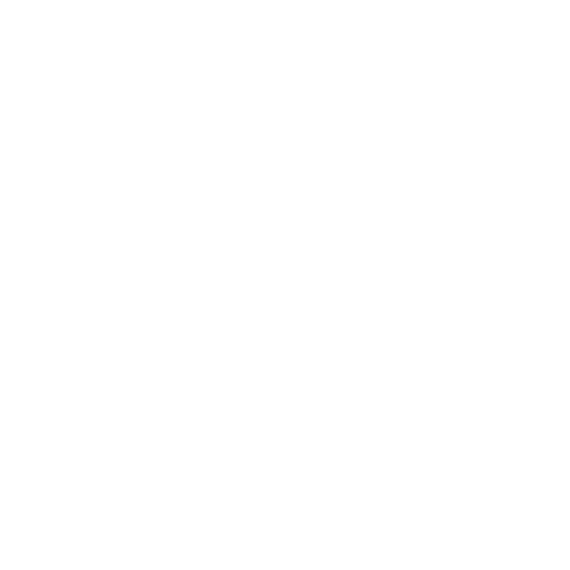 feature-item-2