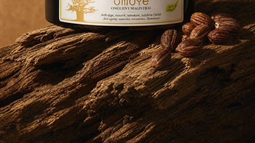 Graines de jojoba posées sur un bois flotté à côté du pot de l'Onguent Magistral Omoyé, fond terracotta