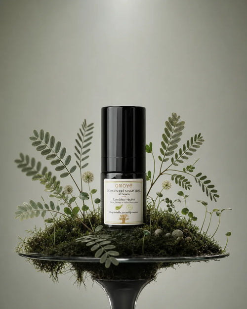 L'acacia, l'arbre du désert qui aide la peau à combler ses rides