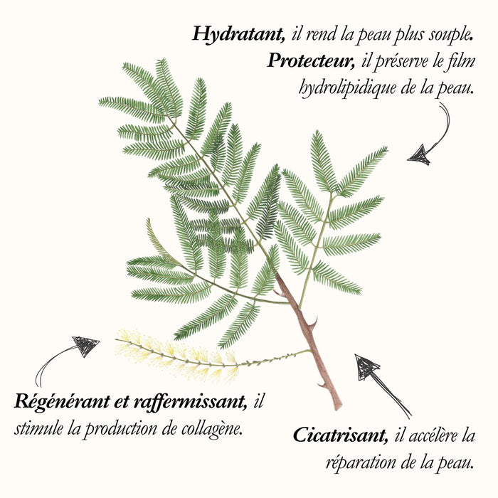 Acacia