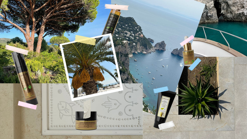 Rentree en beaute