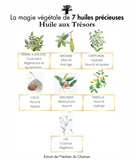 Huile aux Trésors