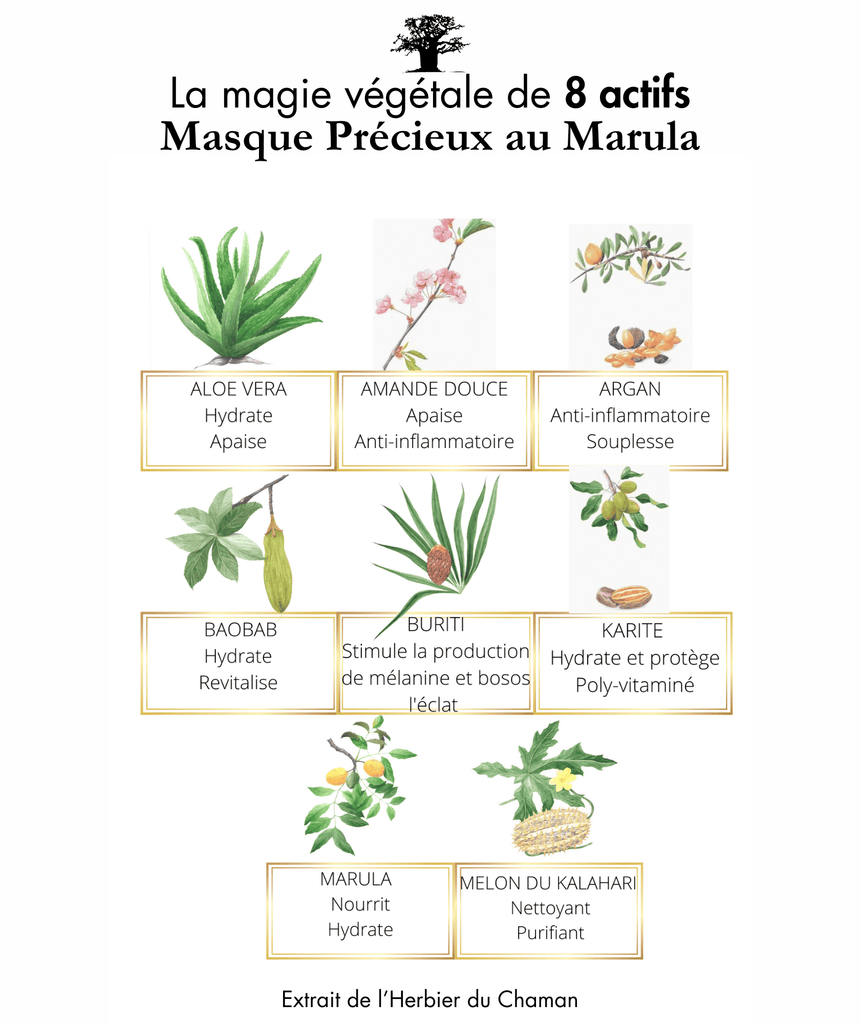 Actifs du Masque Précieux Omoyé ingrédients naturels hydratants, apaisants et éclat du teint